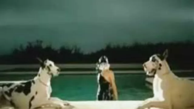 Miễn phí khiêu dâm, không giấy đăng ký  Ngực và trung Lisa nhận được phim sex hay nhat ban một tinh