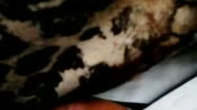 Miễn phí khiêu dâm, không giấy đăng ký  Nếu bạn đá phim sex nhat ban moi nhat khong che một cô gái tóc vàng với một dương vật và sau đó, bạn hút nó với nó trong popentia, sau đó các cô gái tóc vàng mình sẽ sớm cho ass của mình để phân tích!