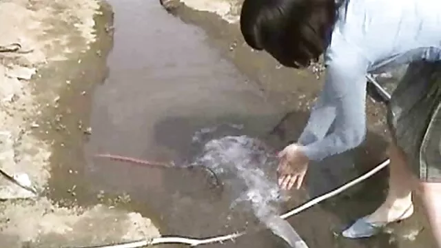 Miễn phí khiêu dâm, không giấy đăng ký  Người nga đã được mời đến ngôi sao trong một bộ phim khiêu dâm. Các cặp mới cưới nhanh chóng chấp nhận và đã cho thấy trong các video một cái gì đó mà họ chưa bao giờ được thực hiện tại của cha phim dit nhau nhat ban moi nhat mẹ ngủ trước.