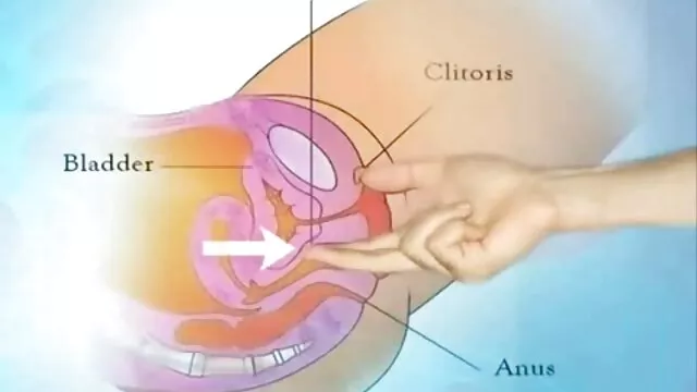 Miễn phí khiêu dâm, không giấy đăng ký  Nga, phím sex nhat ban anh chàng trẻ lớn lên, đồ